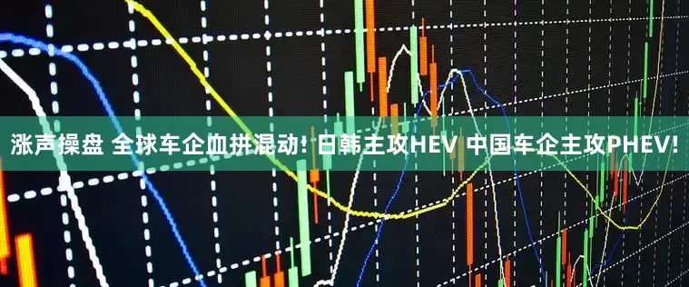 涨声操盘 全球车企血拼混动! 日韩主攻HEV 中国车企主攻PHEV!