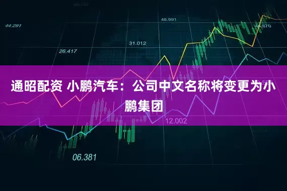 通昭配资 小鹏汽车：公司中文名称将变更为小鹏集团